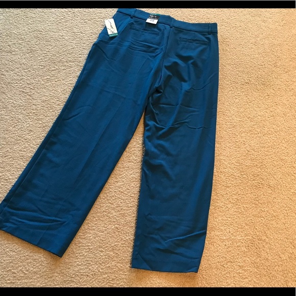 Kim Rogers Modern Fit Petite Pants - Picture 4 of 7